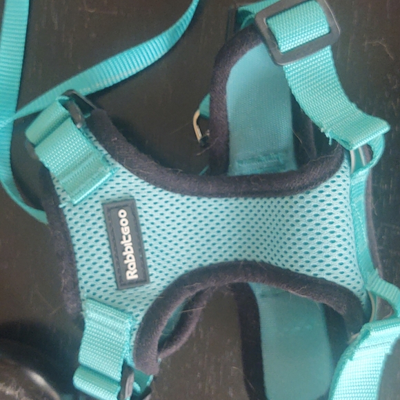 Rabbitgoo animal leash - Picture 4 of 6